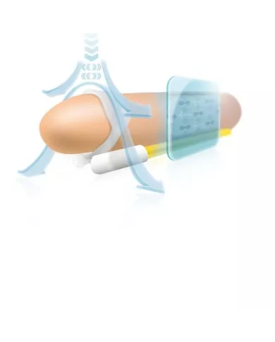 ANDROPENIS MINI - EXTENSEUR DE PÉNIS ANDROPENIS MINI - EXTENSEUR DE PÉNIS