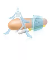 ANDROPENIS MINI - EXTENSEUR DE PÉNIS