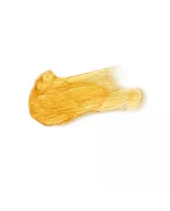 SECRETPLAY - SACHET D''HUILE POUR LE CORPS PRETTY BUT WILD GLOW