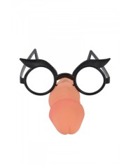 Lunettes pénis