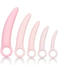 CALEXOTICS - INSPIRE DILATATEUR EN SILICONE ENSEMBLE DE 5 PIÈCES CALEXOTICS - INSPIRE DILATATEUR EN SILICONE ENSEMBLE DE 5 PIÈCES