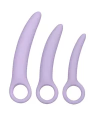 CALEXOTICS - DR LAURA BERMAN ALENA ENSEMBLE DE 3 DILATEURS EN SILICONE