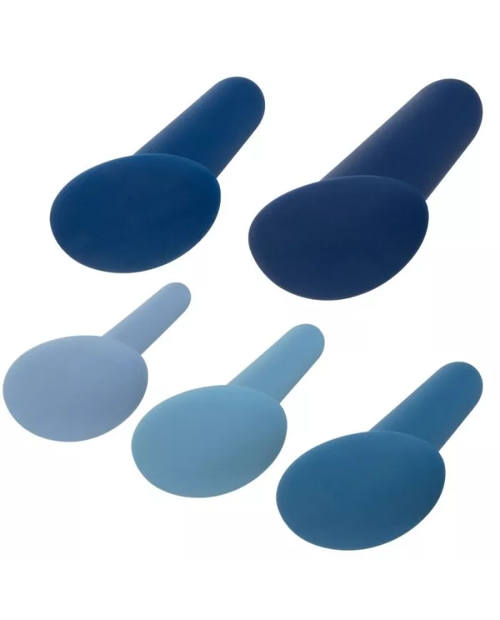 CALEXOTICS - ENSEMBLE DENTRAÎNEMENT ANAL PORTABLE 5 PIÈCES CALEXOTICS - ENSEMBLE DENTRAÎNEMENT ANAL PORTABLE 5 PIÈCES