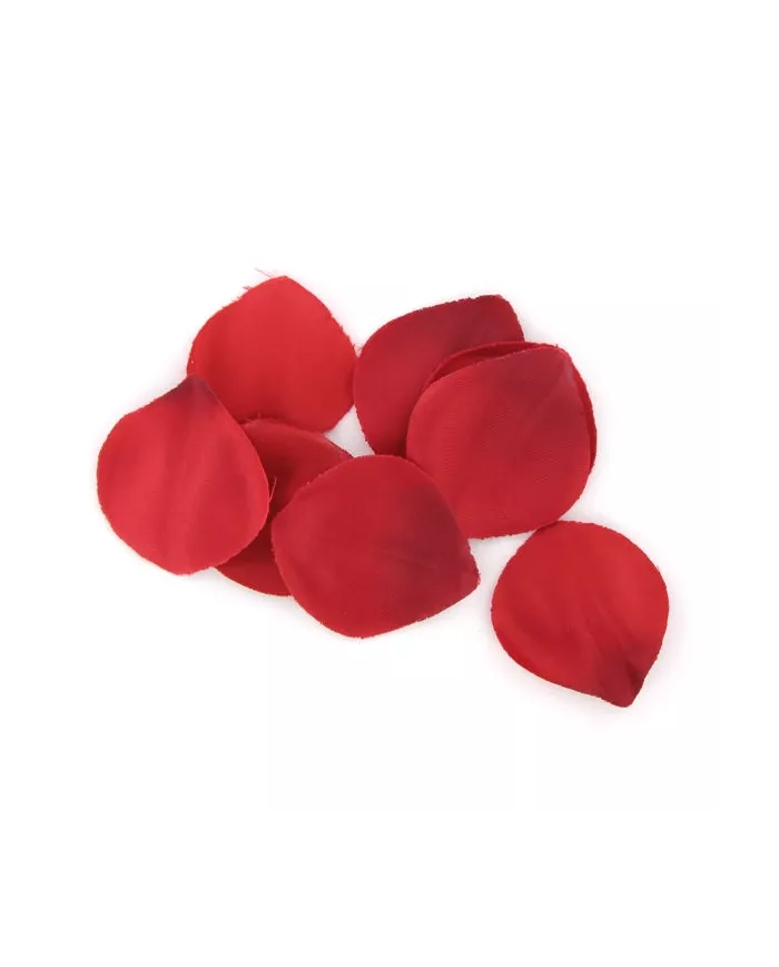 EXTASE SENSUAL - COFFRE TENTATION ROUGE