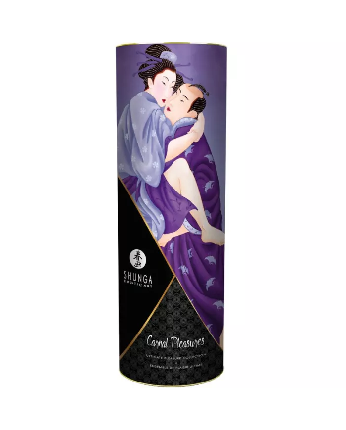 SHUNGA - KIT DE COLLECTION Plaisirs Charnels SHUNGA - KIT DE COLLECTION Plaisirs Charnels