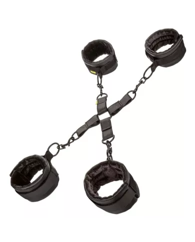 CALEXOTICS - CRAVATE DE PORC SANS LIMITES CALEXOTICS - CRAVATE DE PORC SANS LIMITES