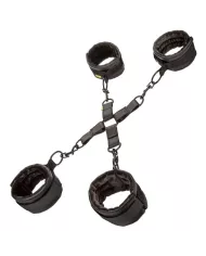 CALEXOTICS - CRAVATE DE PORC SANS LIMITES CALEXOTICS - CRAVATE DE PORC SANS LIMITES