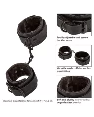 CALEXOTICS - CHEVILLES SANS LIMITES CALEXOTICS - CHEVILLES SANS LIMITES