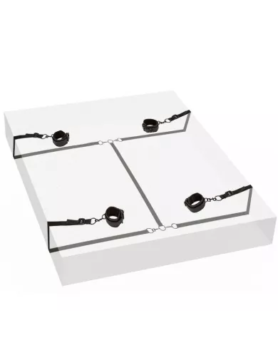 CALEXOTICS - RETENUE ROUGE SANS LIMITES