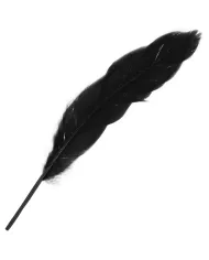 OHMAMA - COUPLES ENSEMBLE NUMÉRO 3 OHMAMA - COUPLES ENSEMBLE NUMÉRO 3