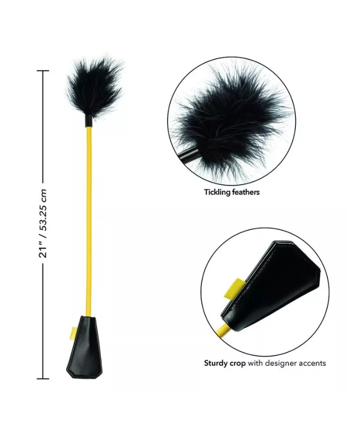 CALEXOTICS - BOUNDLESS RÉCOLTE DE PLUMES CALEXOTICS - BOUNDLESS RÉCOLTE DE PLUMES