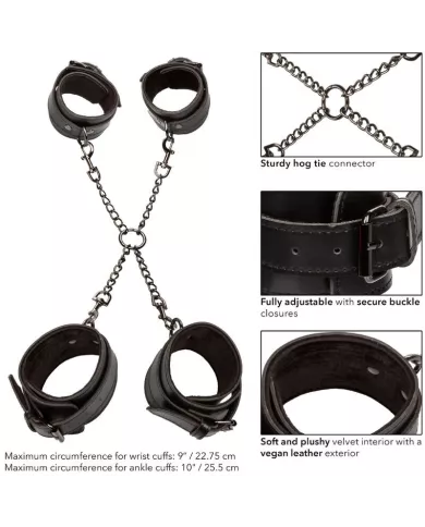 CALEXOTICS - EUPHORIA CRAVATE DE PORC