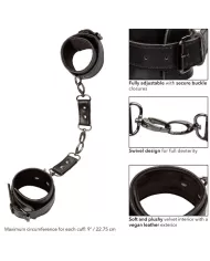 CALEXOTICS - EUPHORIA MENOTTES