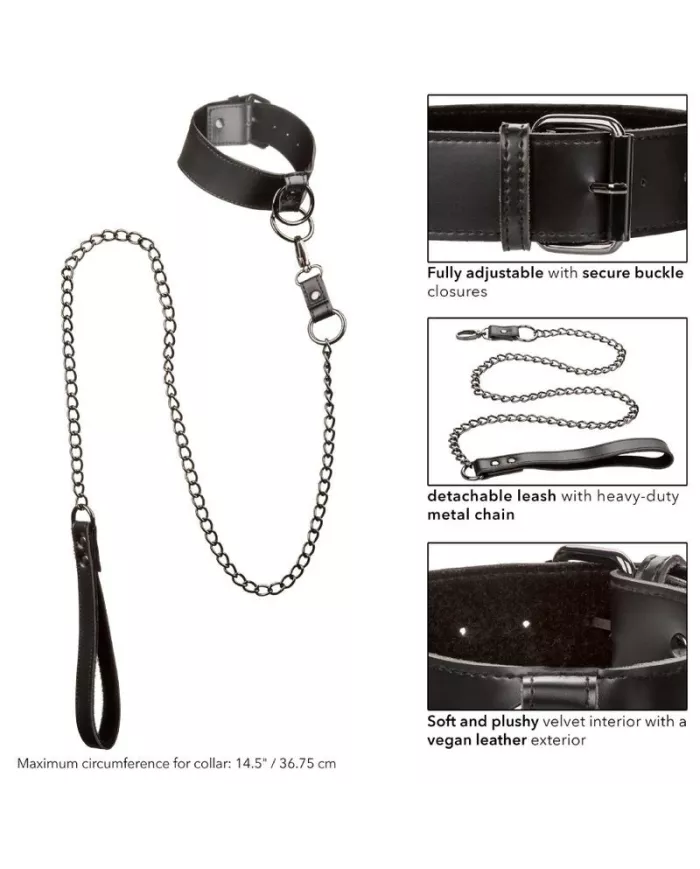 CALEXOTICS - EUPHORIA COLLIER AVEC LAISSE CHAÎNE CALEXOTICS - EUPHORIA COLLIER AVEC LAISSE CHAÎNE