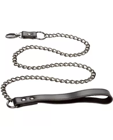 CALEXOTICS - EUPHORIA COLLIER AVEC LAISSE CHAÎNE