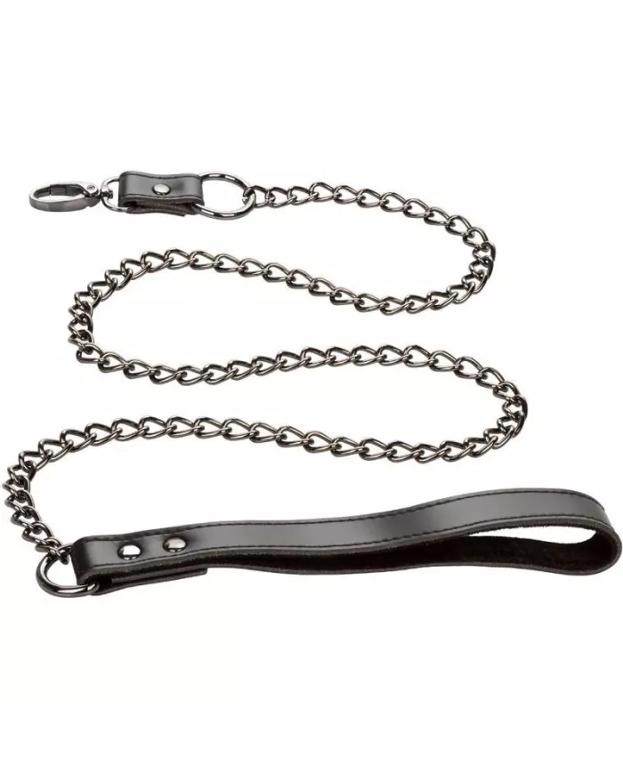 CALEXOTICS - EUPHORIA COLLIER AVEC LAISSE CHAÎNE CALEXOTICS - EUPHORIA COLLIER AVEC LAISSE CHAÎNE