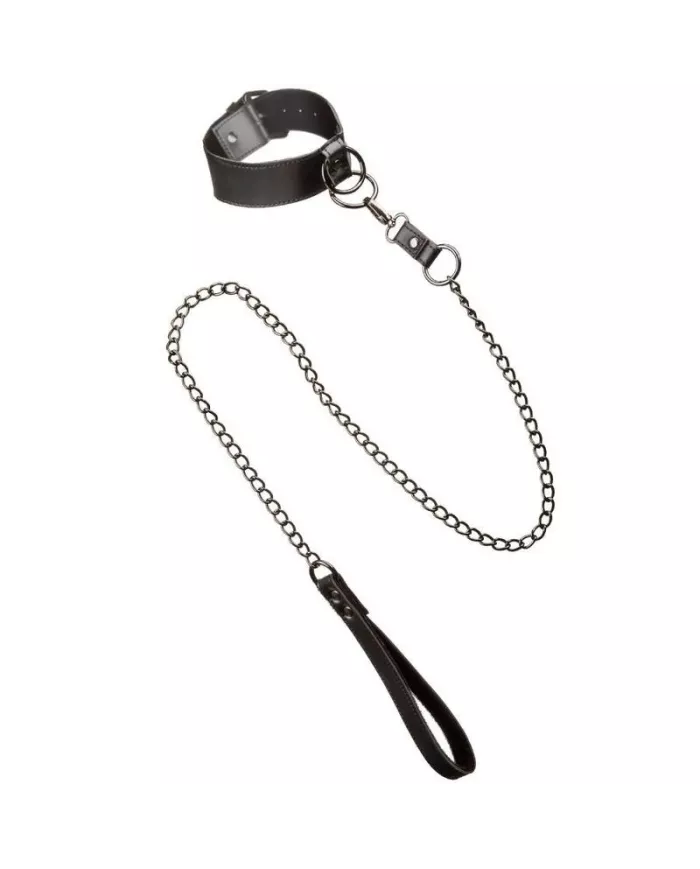 CALEXOTICS - EUPHORIA COLLIER AVEC LAISSE CHAÎNE CALEXOTICS - EUPHORIA COLLIER AVEC LAISSE CHAÎNE