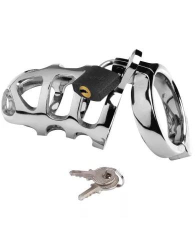 METAL HARD - CAGE ANNEAU CAGE EN MÉTAL METAL HARD - CAGE ANNEAU CAGE EN MÉTAL