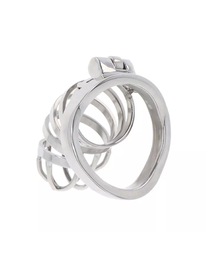 HIDDEN DESIRE - EXTREME CAGE DE CHASTETÉ EN MÉTAL