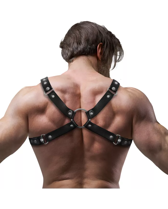 FETISH SUBMISSIVE ATTITUDE - HARNAIS DE POITRINE BULLDOG EN CUIR ÉCOLOGIQUE POUR HOMMES TAILLE M/L FETISH SUBMISSIVE ATTITUDE - HARNAIS DE POITRINE BULLDOG EN CUIR ÉCOLOGIQUE POUR HOMMES TAILLE M/L