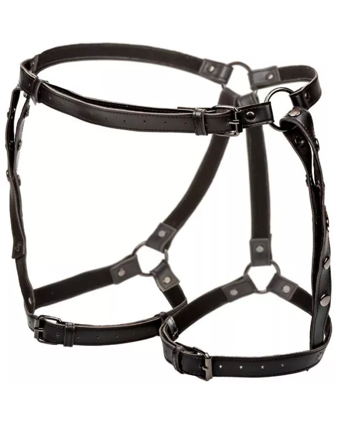 CALEXOTICS - EUPHORIA HARNAIS DE CUISSE DÉQUITATION CALEXOTICS - EUPHORIA HARNAIS DE CUISSE DÉQUITATION