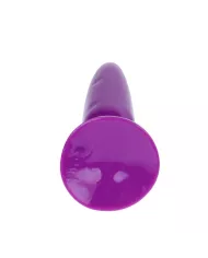 BAILE - PETIT PLUG ANAL LILAS 15 CM BAILE - PETIT PLUG ANAL LILAS 15 CM