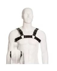 LEATHER BODY - HARNAIS BULL DOG NOIR LEATHER BODY - HARNAIS BULL DOG NOIR