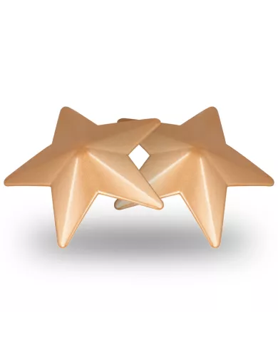 COQUETTE CHIC DESIRE - CACHE-MALINS ÉTOILES