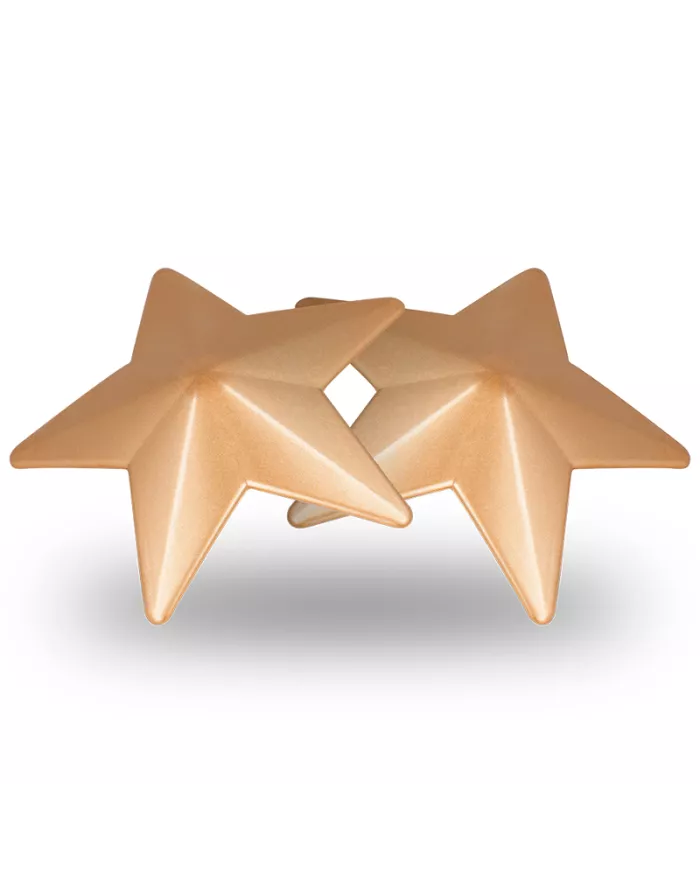 COQUETTE CHIC DESIRE - CACHE-MALINS ÉTOILES