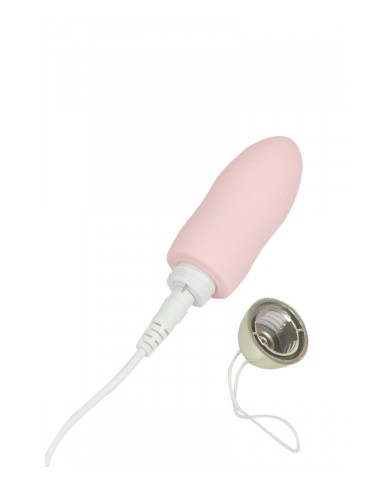 Oeuf vibrant télécommandé Dingus - Wooomy