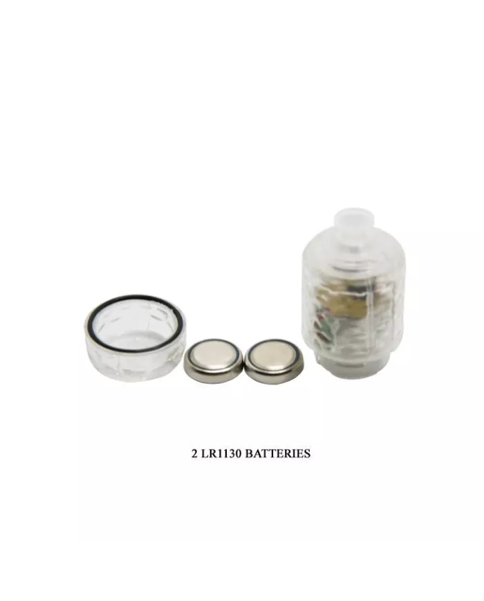 BAILE - DEXTENSION FANTASY VIBE