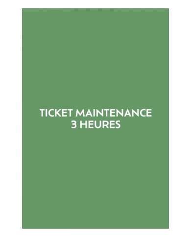 Ticket 3 heures de maintenance