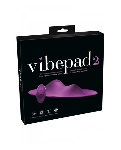 Coussin sexuel vibepad 2