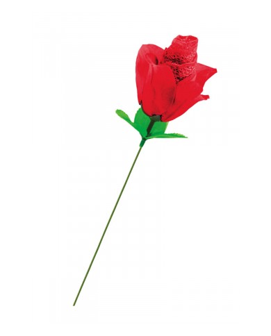 Rose surprise avec petite culotte - Fun Novelties