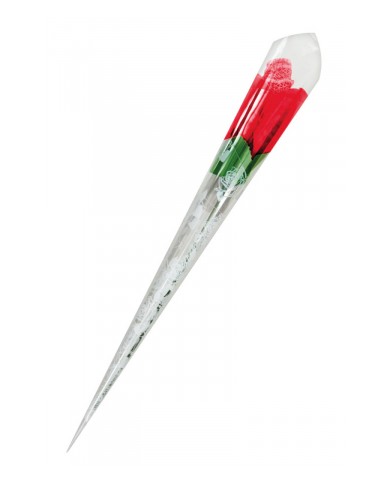 Rose surprise avec petite culotte - Fun Novelties