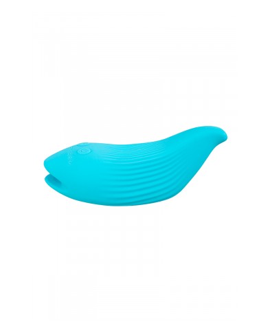 Mini vibro rechargeable DelightfulWave bleu - FairyGasm