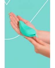 Mini vibro rechargeable DelightfulWave vert - FairyGasm