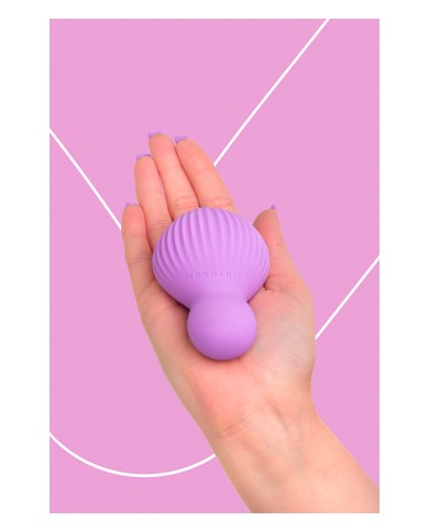 Mini vibro rechargeable EnchantedDesire violet - FairyGasm