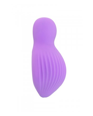 Mini vibro rechargeable EnchantedDesire violet - FairyGasm