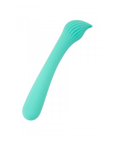 Vibro rechargeable Passionmania vert - FairyGasm