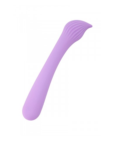 Vibro rechargeable Passionmania violet - FairyGasm