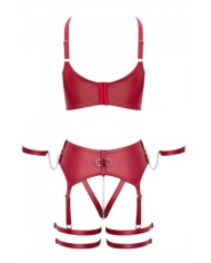 Ensemble BDSM bordeaux - Cotelli Bondage