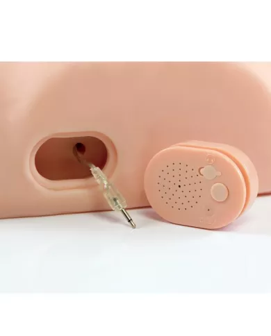 PDX MALE - INTERACTIF BAISEZ-LE SILLY PDX MALE - INTERACTIF BAISEZ-LE SILLY