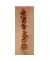 SHEQU - MASTURBATEUR VAGIN MAUD SHEQU - MASTURBATEUR VAGIN MAUD