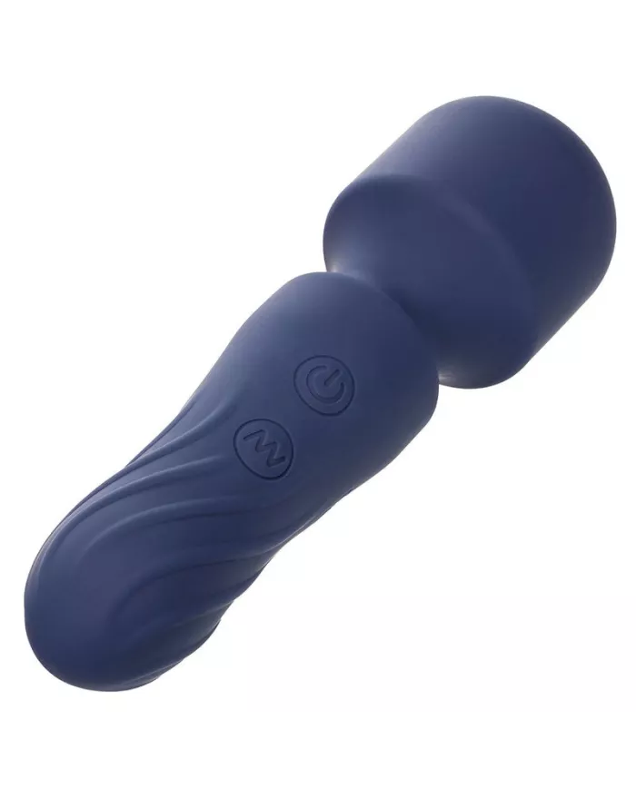 CALEXOTICS - CHARISMA CHARM MASSEUR 12 FONCTIONS VIOLET CALEXOTICS - CHARISMA CHARM MASSEUR 12 FONCTIONS VIOLET