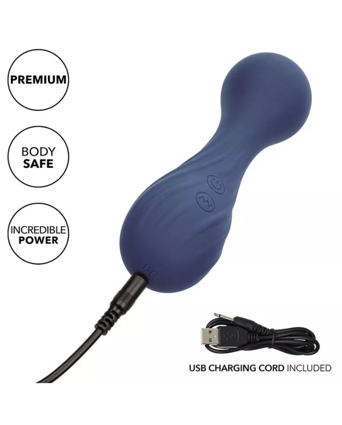 CALEXOTICS - CHARISMA TEMPTATION MASSEUR 12 FONCTIONS VIOLET CALEXOTICS - CHARISMA TEMPTATION MASSEUR 12 FONCTIONS VIOLET