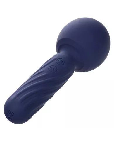 CALEXOTICS - CHARISMA SEDUCTION MASSEUR 12 FONCTIONS 17,75 CM X 6,25 CM VIOLET CALEXOTICS - CHARISMA SEDUCTION MASSEUR 12 FONCTIONS 17,75 CM X 6,25 CM VIOLET