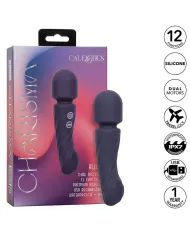 CALEXOTICS - CHARISMA ALLURE MASSEUR DOUBLE MOTEURS 12 FONCTIONS 17,25 CM X 4,5 CM VIOLET CALEXOTICS - CHARISMA ALLURE MASSEUR DOUBLE MOTEURS 12 FONCTIONS 17,25 CM X 4,5 CM VIOLET