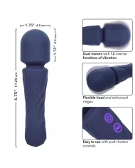CALEXOTICS - CHARISMA ALLURE MASSEUR DOUBLE MOTEURS 12 FONCTIONS 17,25 CM X 4,5 CM VIOLET CALEXOTICS - CHARISMA ALLURE MASSEUR DOUBLE MOTEURS 12 FONCTIONS 17,25 CM X 4,5 CM VIOLET