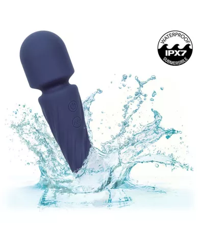 CALEXOTICS - CHARISMA ALLURE MASSEUR DOUBLE MOTEURS 12 FONCTIONS 17,25 CM X 4,5 CM VIOLET CALEXOTICS - CHARISMA ALLURE MASSEUR DOUBLE MOTEURS 12 FONCTIONS 17,25 CM X 4,5 CM VIOLET